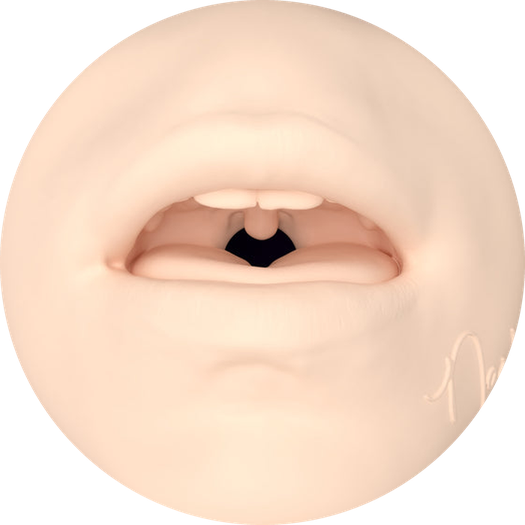 Nash - Masturbator åbning